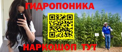 молекула духа Заводоуковск