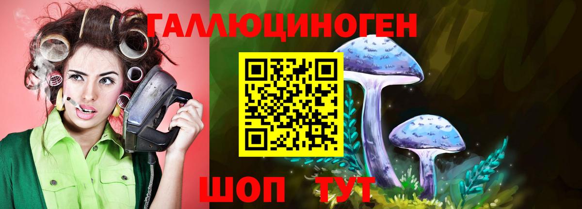 Галлюциногенные грибы Psilocybine cubensis  Вход с VPN  Нефтекамск 